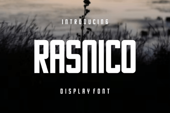 Rasnico: Redefining Visual Identity in the Age of Bold Typography